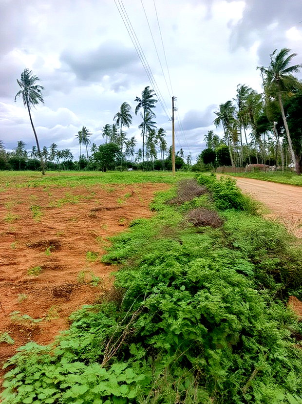 Prime Acre Land for Sale in Kilifi Tezo