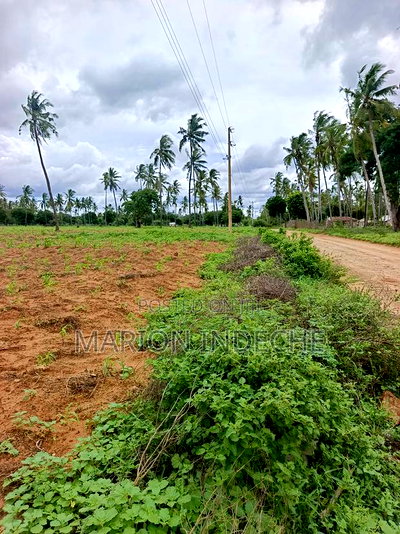 Prime Acre Land for Sale in Kilifi Tezo - Image 2