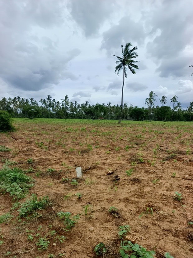 Prime Acre Land for Sale in Kilifi Tezo