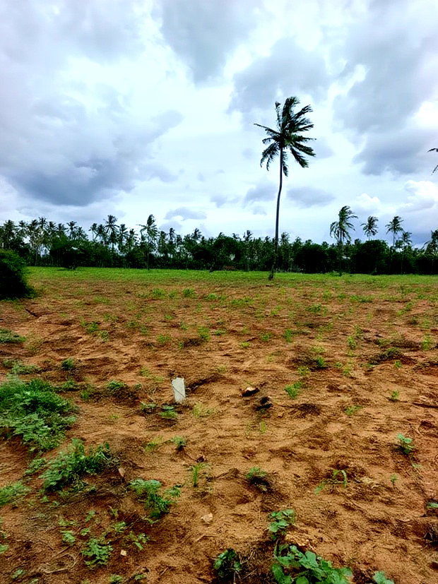 Prime Acre Land for Sale in Kilifi Tezo