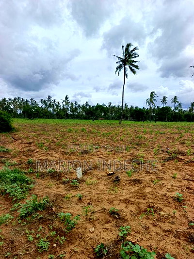 Prime Acre Land for Sale in Kilifi Tezo - Image 4