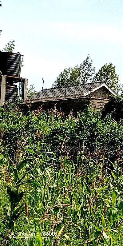 Plot for Sale in Gikambura Kikuyu - Image 7