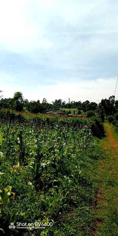 Plot for Sale in Gikambura Kikuyu - Image 14