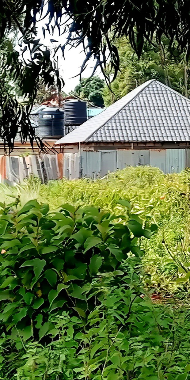 Plot for Sale in Gikambura Kikuyu