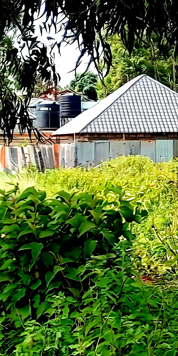 Plot for Sale in Gikambura Kikuyu