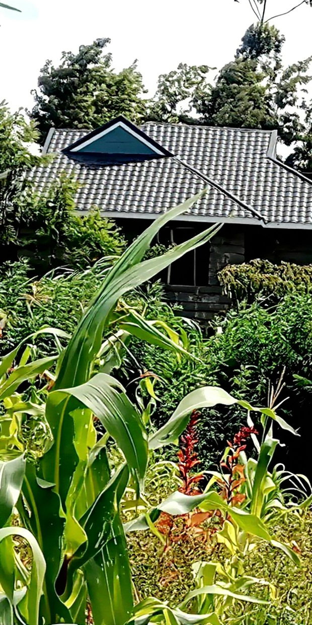Plot for Sale in Gikambura Kikuyu