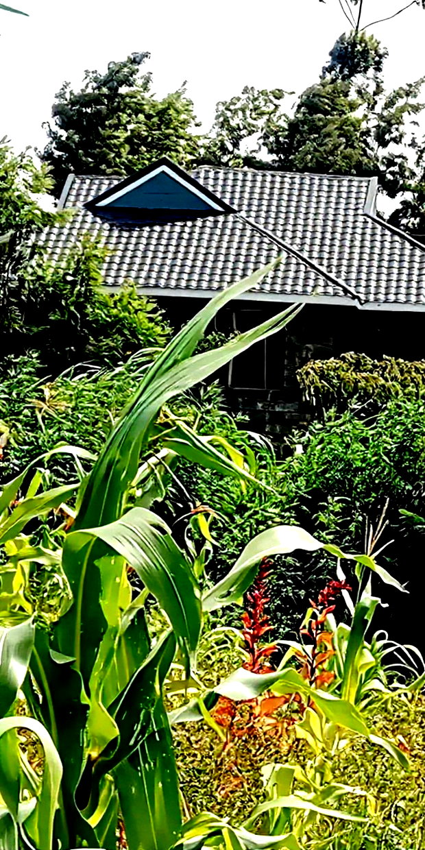 Plot for Sale in Gikambura Kikuyu