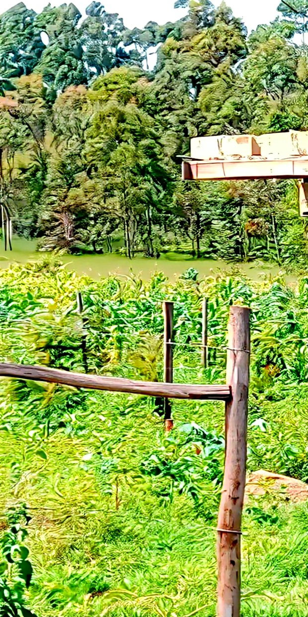 Plot for Sale in Gikambura Kikuyu