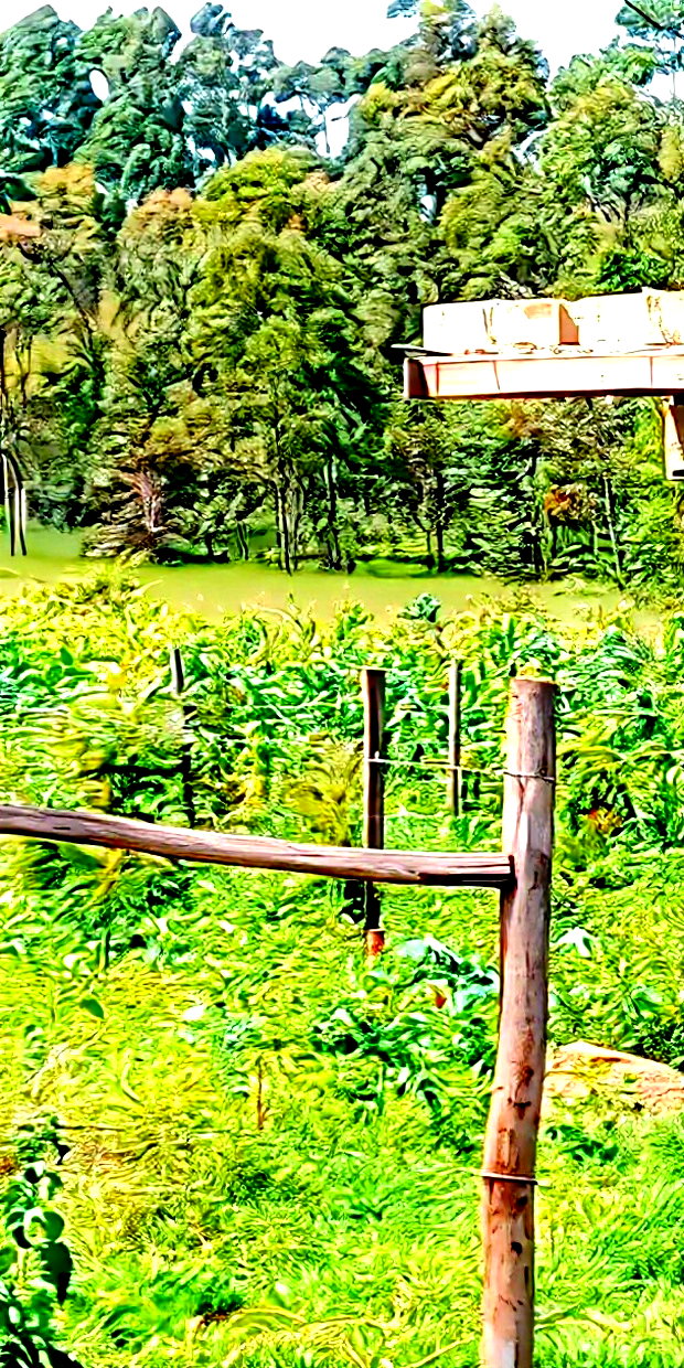 Plot for Sale in Gikambura Kikuyu