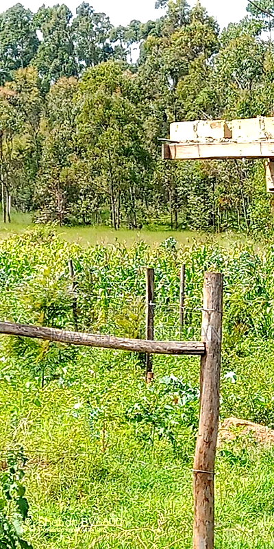 Plot for Sale in Gikambura Kikuyu - Image 5