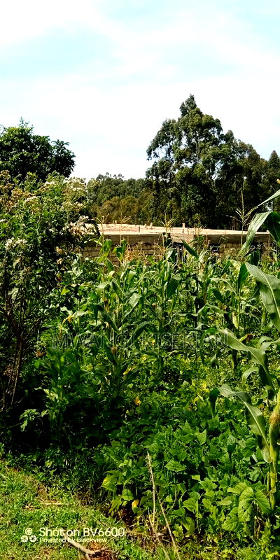 Plot for Sale in Gikambura Kikuyu - Image 16