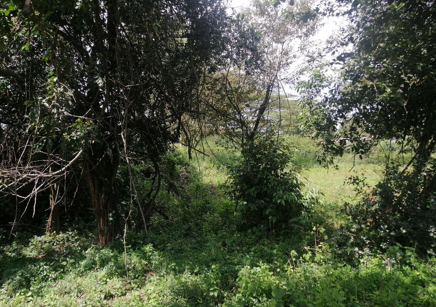 9-Acre Land for High-End Development