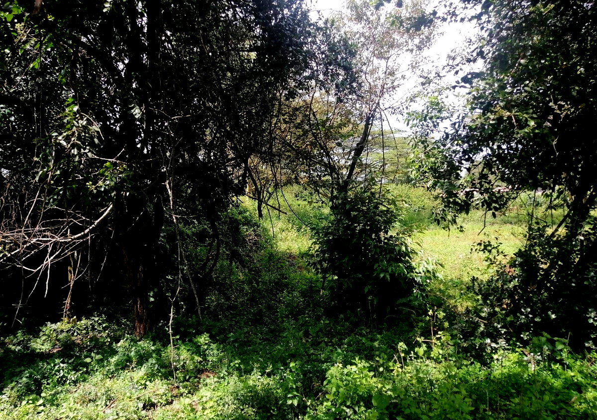 9-Acre Land for High-End Development