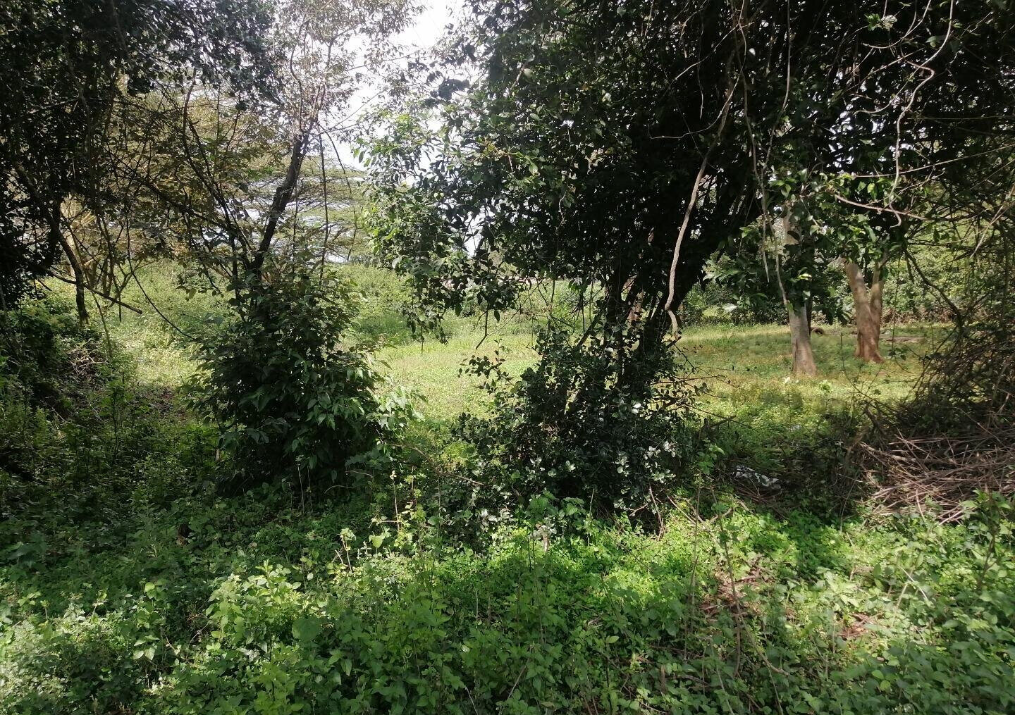 9-Acre Land for High-End Development