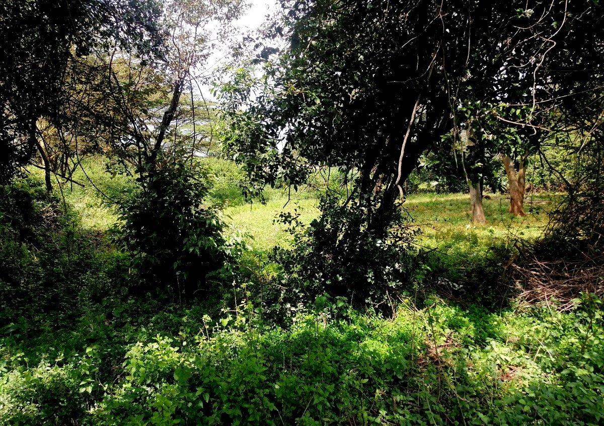 9-Acre Land for High-End Development