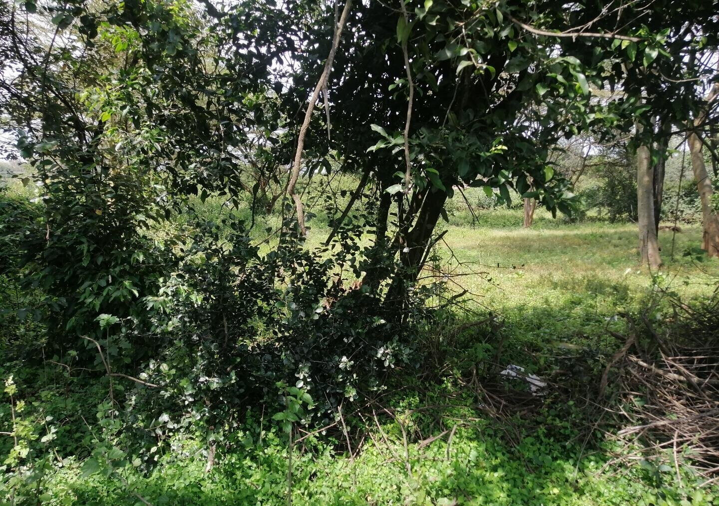 9-Acre Land for High-End Development