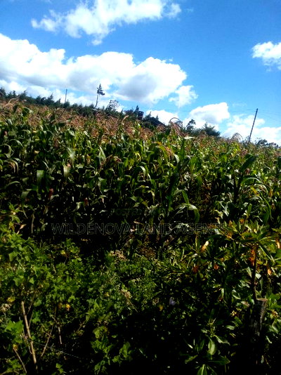 2 Acres on Sale at Flyover Kinangop - Image 6