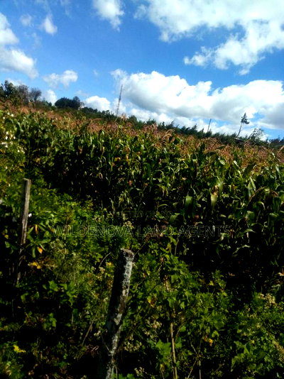 2 Acres on Sale at Flyover Kinangop - Image 1