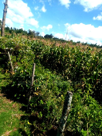 2 Acres on Sale at Flyover Kinangop - Image 5