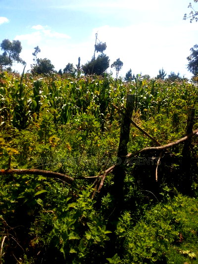 2 Acres on Sale at Flyover Kinangop - Image 4