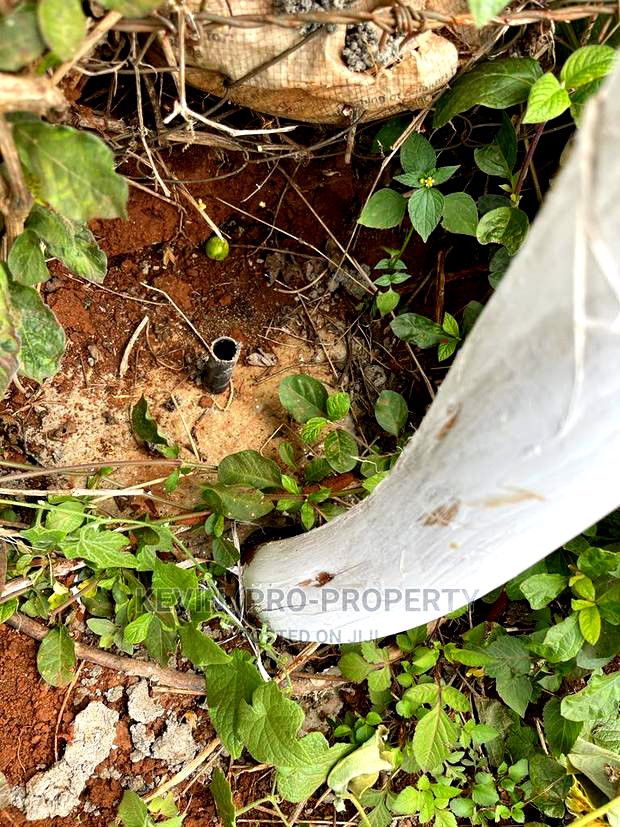 Plots for Sale in Kikuyu, Ondiri Karai.(0.05 Ha)