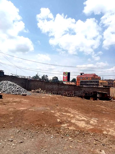 100by 100 Plot for Sale at Githurai 45 - Image 7