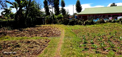 Commercial 1/4 Plot For Sale In Kimumu Eldoret - Image 2