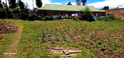 Commercial 1/4 Plot For Sale In Kimumu Eldoret - Image 1