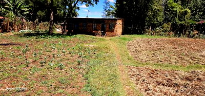 Commercial 1/4 Plot For Sale In Kimumu Eldoret - Image 3