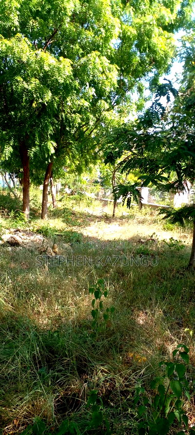 1/2 Acre Beach Plot on Sale in Galu Beach - Image 10