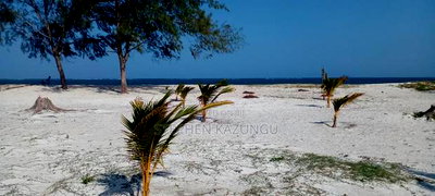 1/2 Acre Beach Plot on Sale in Galu Beach - Image 1