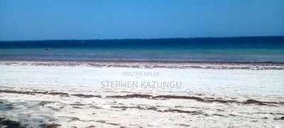 1/2 Acre Beach Plot on Sale in Galu Beach - Image 12