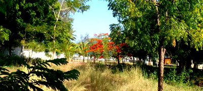 1/2 Acre Beach Plot on Sale in Galu Beach - Image 5