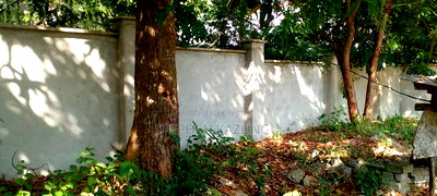 1/2 Acre Beach Plot on Sale in Galu Beach - Image 3