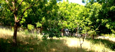 1/2 Acre Beach Plot on Sale in Galu Beach - Image 9