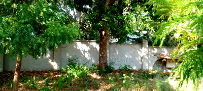 1/2 Acre Beach Plot on Sale in Galu Beach - Image 4