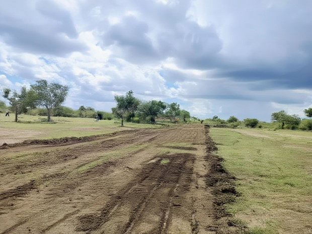 Prime Plots In Malindi