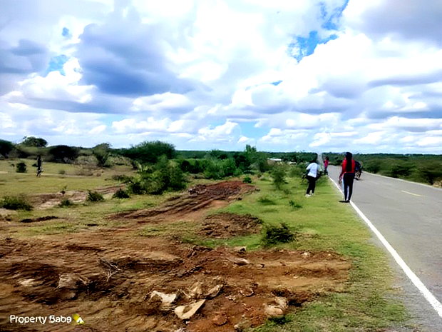 Prime Plots In Malindi