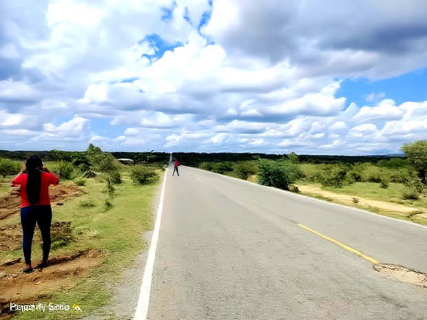Prime Plots In Malindi