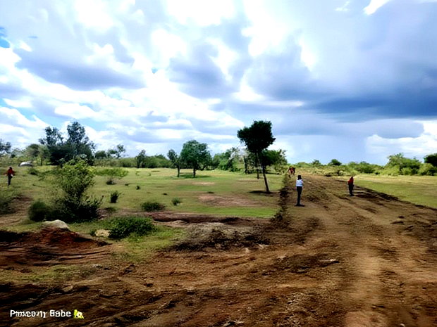 Prime Plots In Malindi