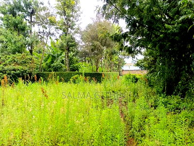 Prime Commercial Plot for Sale in Kikuyu, Thogoto - Image 7