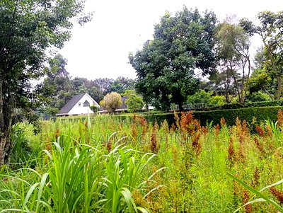 Prime Commercial Plot for Sale in Kikuyu, Thogoto - Image 10