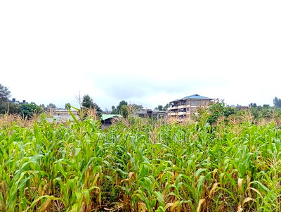 Prime Commercial Plot for Sale in Kikuyu, Thogoto - Image 8