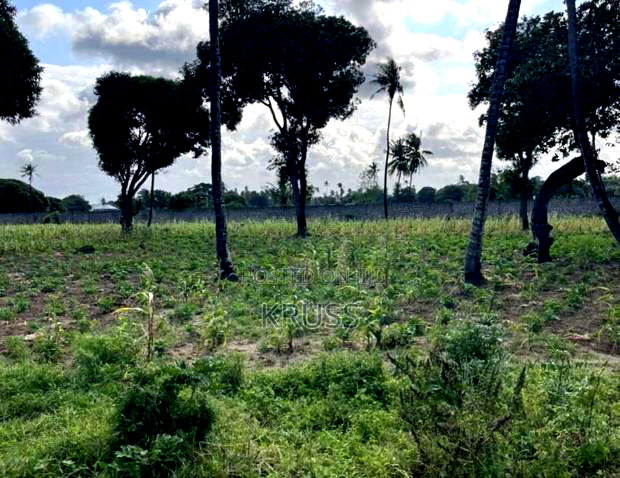 1 Acre at Sheriani/Vipingo Touching Malindi Highway Ls198