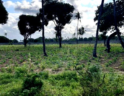 1 Acre at Sheriani/Vipingo Touching Malindi Highway Ls198 - Image 4