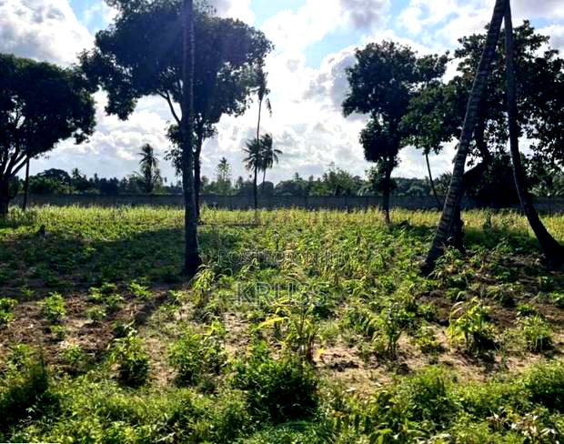 1 Acre at Sheriani/Vipingo Touching Malindi Highway Ls198