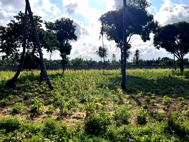 1 Acre at Sheriani/Vipingo Touching Malindi Highway Ls198