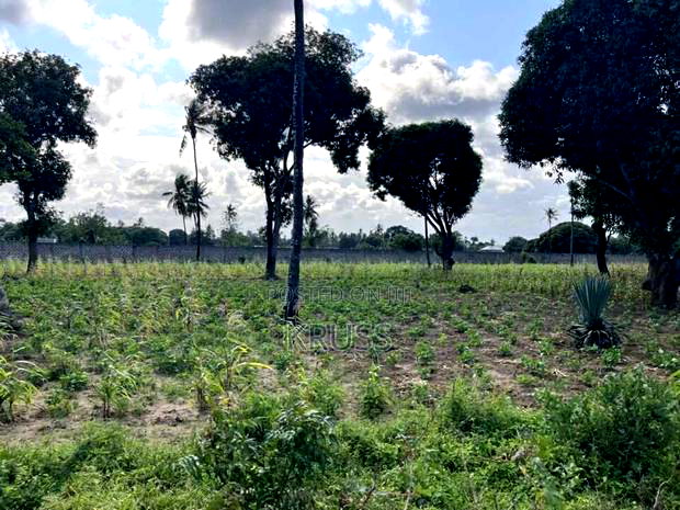 1 Acre at Sheriani/Vipingo Touching Malindi Highway Ls198
