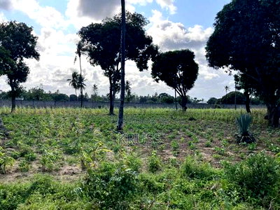 1 Acre at Sheriani/Vipingo Touching Malindi Highway Ls198 - Image 1