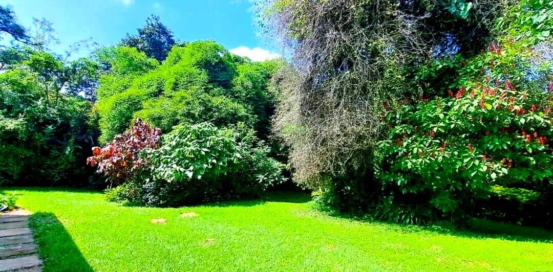 Half Acre 4BR Haven for KSh 606K
